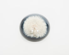 Load image into Gallery viewer, Dandelion Paperweight
