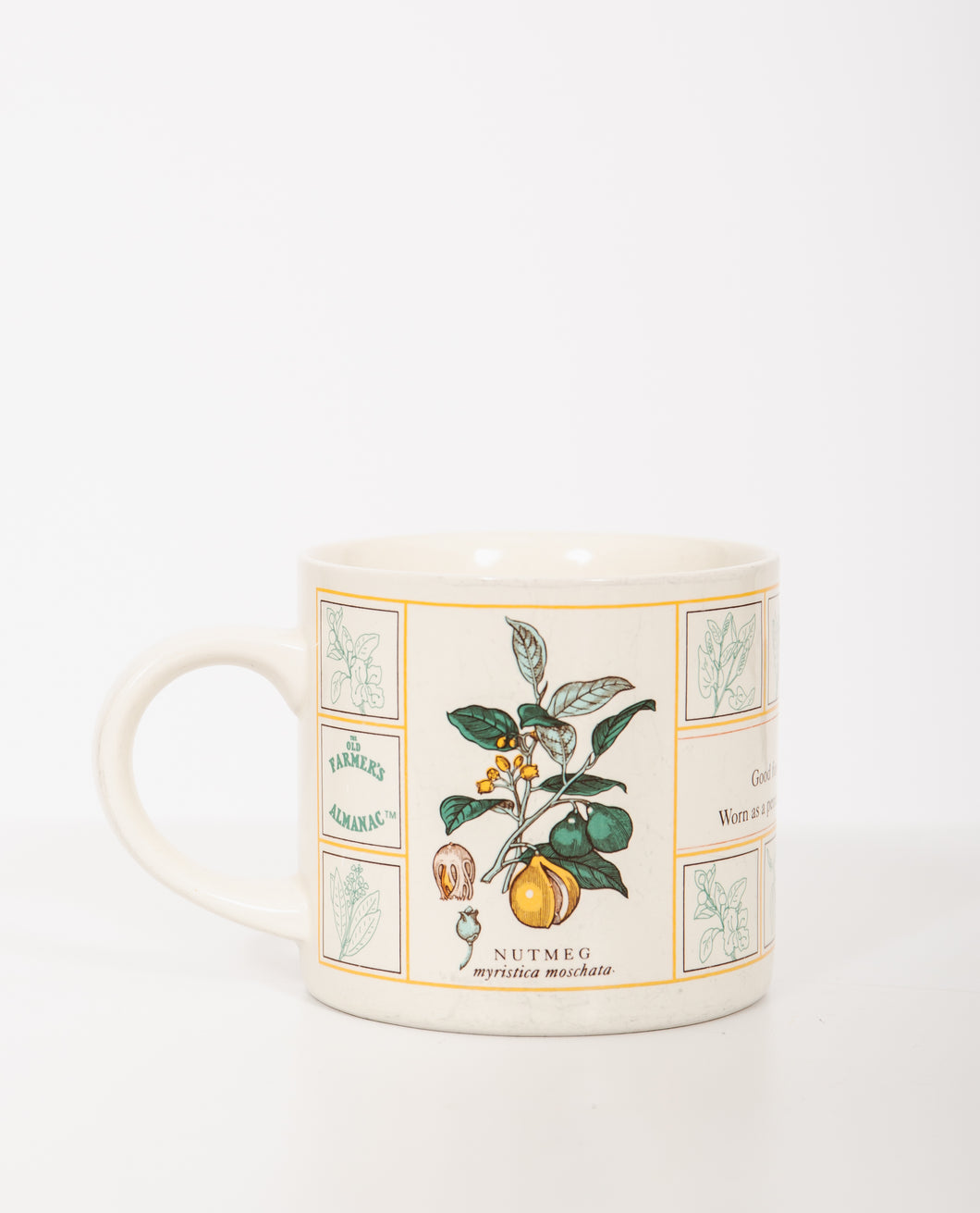 Nutmeg Mug