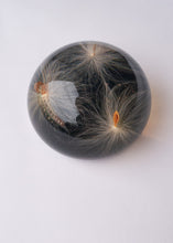 Load image into Gallery viewer, Milkweed Cluster Paperweight
