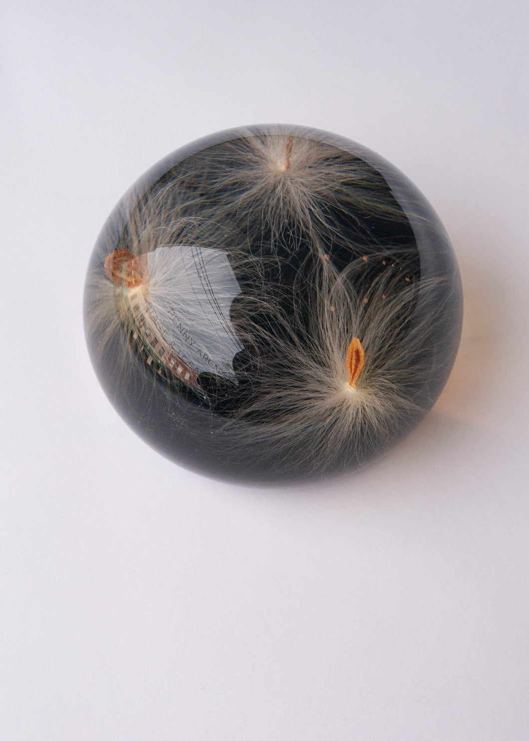 Milkweed Cluster Paperweight