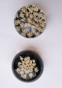 Queen Anne’s Lace Paperweight