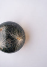 Load image into Gallery viewer, Milkweed Cluster Paperweight

