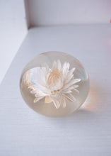 Load image into Gallery viewer, Strawflower Paperweight
