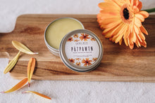 Load image into Gallery viewer, Pá7pawtn Nettle and Arnica Salve by Skwálwen Botanicals
