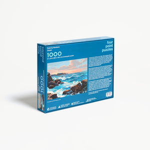 Paint By Numbers Ocean Puzzle, Four Point