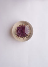 Load image into Gallery viewer, Thistle Paperweight

