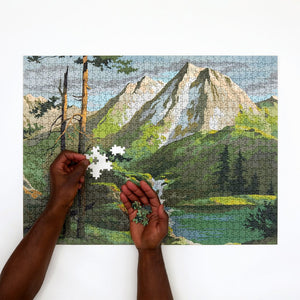 Paint by Numbers Mountain Puzzle, Four Point