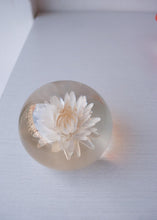 Load image into Gallery viewer, Strawflower Paperweight
