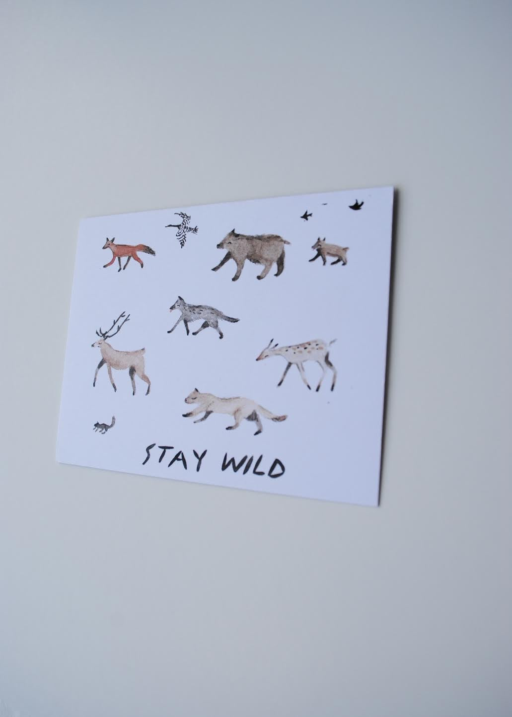 Stay Wild Card by Sarah Burwash
