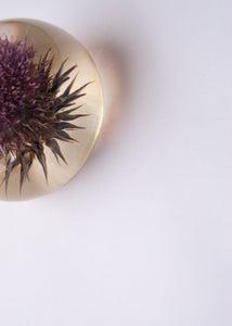 Thistle Paperweight